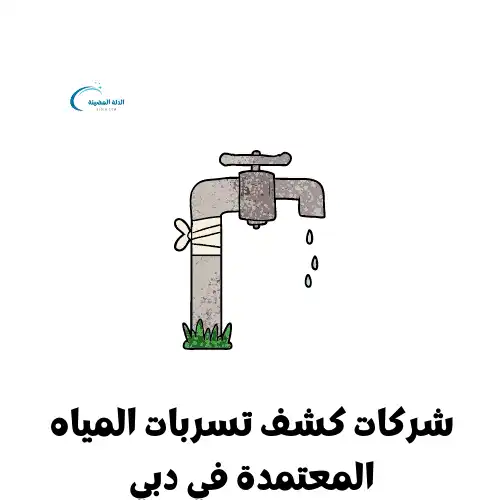 شركات كشف تسربات المياه المعتمدة في دبي